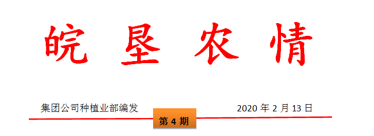 2020年安徽沿淮稻茬小麥春季田間管理技術(shù)指導(dǎo)意見(jiàn)