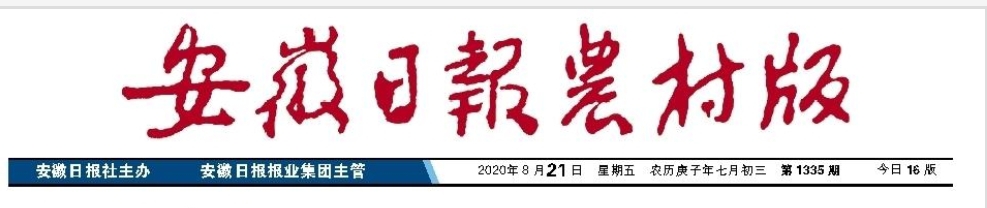 彰顯國企擔當 皖墾種業(yè)打響“軟麥”營銷戰(zhàn)