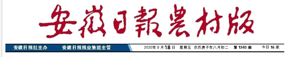 譜寫糯稻紅麥的“二重唱”